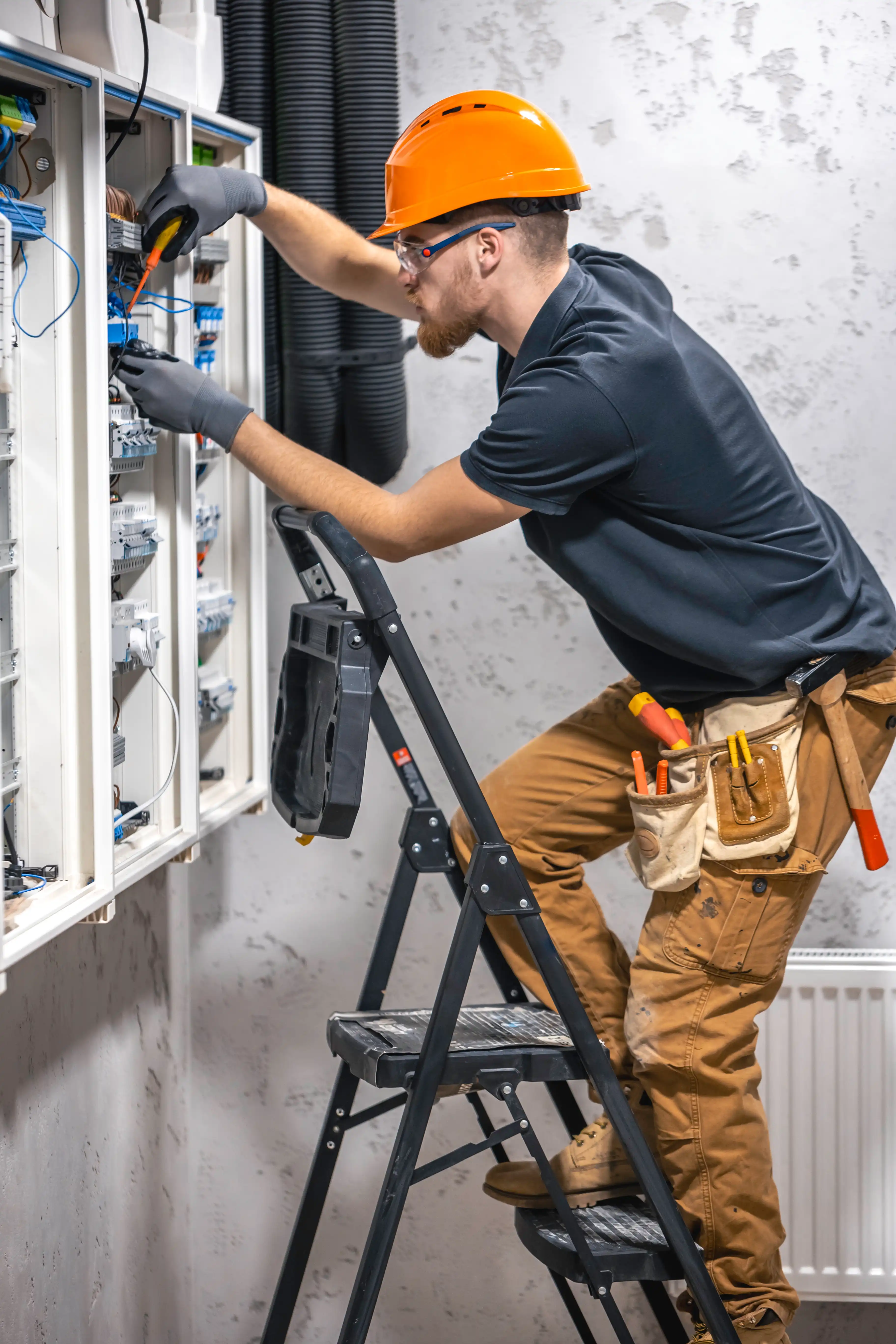 Maintenance (AMC)